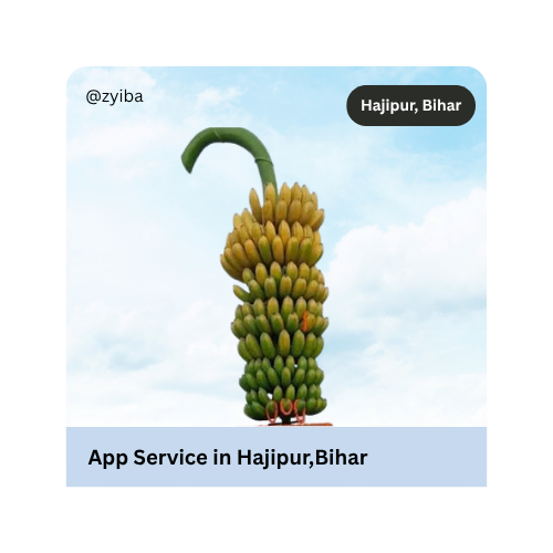 Why choose Zyiba for App Developer in Hajipur