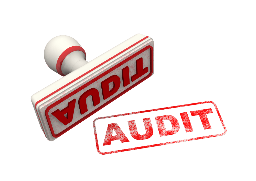 Free website audit report for businesses in Patna